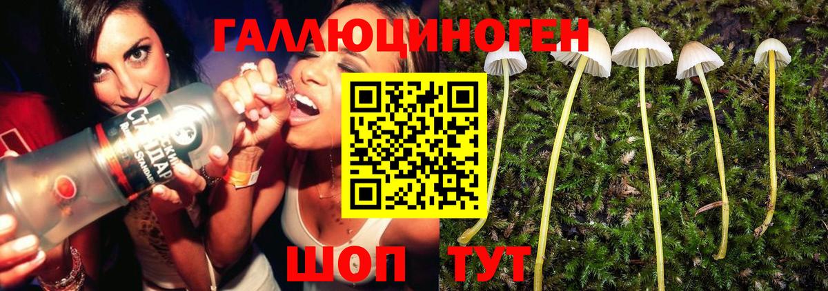 Галлюциногенные грибы Cubensis  Вход с VPN  наркота  Орёл 